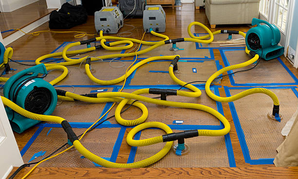 Professional Burst Pipe Water Damage technician working in Montrose, VA